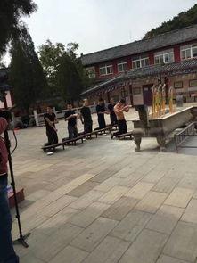 昌黎大侠在线观看,江湖传奇，在线重温